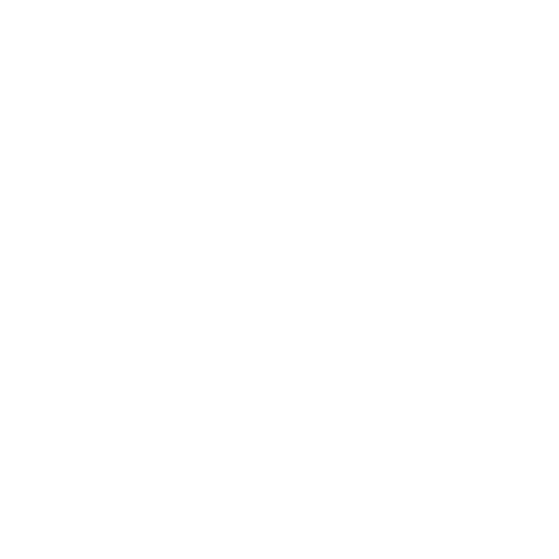 SECURITY ICON
